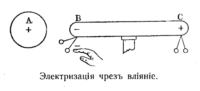 electrophorus