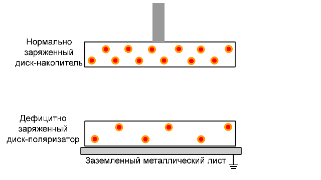 electrophorus