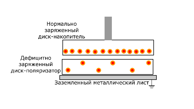 electrophorus