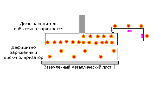 electrophorus