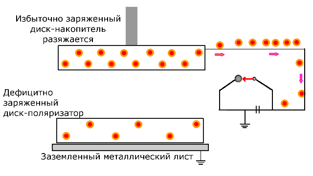 electrophorus